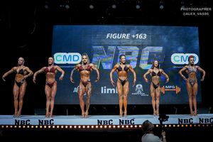 FIGURE +163